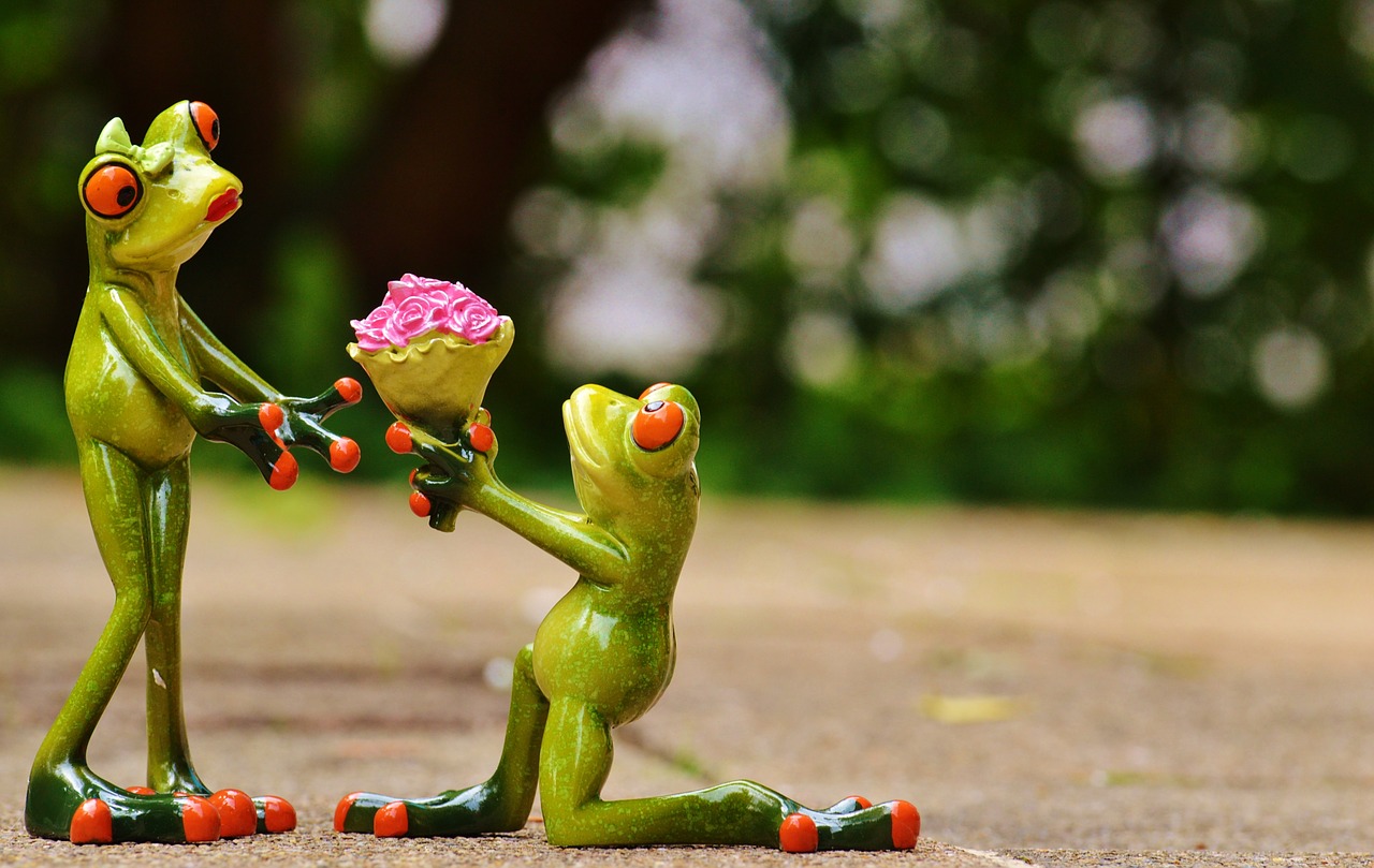 romantic frogs